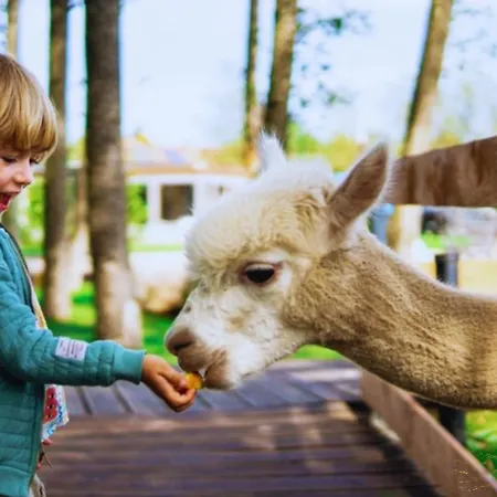 Baltic Park - Raj Dla Rodzin Z Dziecmi - Z 2 Sypialniami Atrakcje Dla Dzieci * Niechorze