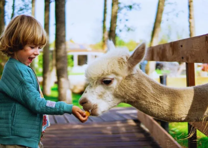 Baltic Park - Raj Dla Rodzin Z Dziecmi - Z 2 Sypialniami Atrakcje Dla Dzieci * Niechorze