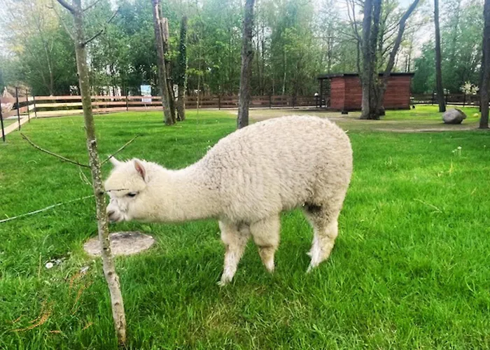 Lodge Baltic Park - Raj Dla Rodzin Z Dziecmi - Z 2 Sypialniami Atrakcje Dla Dzieci Niechorze