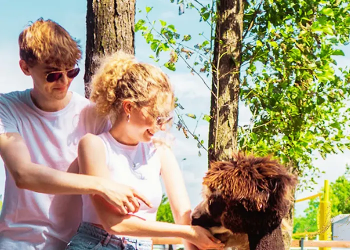 ロッジ Baltic Park - Raj Dla Rodzin Z Dziecmi - Z 2 Sypialniami Atrakcje Dla Dzieci *